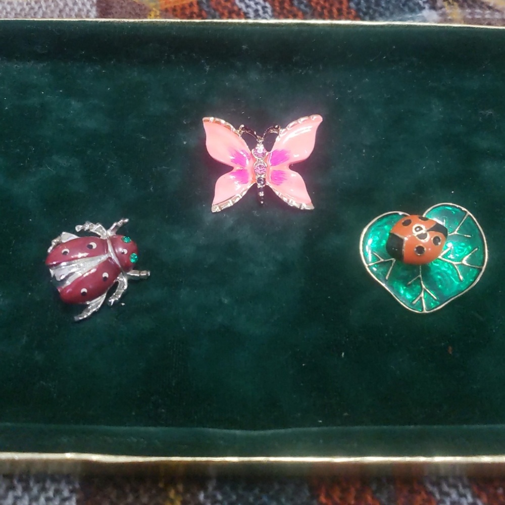 Butterfly, and ladybug, enamel, brooches